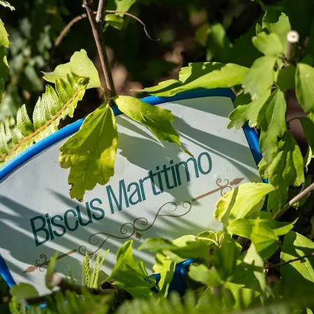 Il Cantico Penzion Neapol