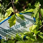 Il Cantico Pensjonat Neapol