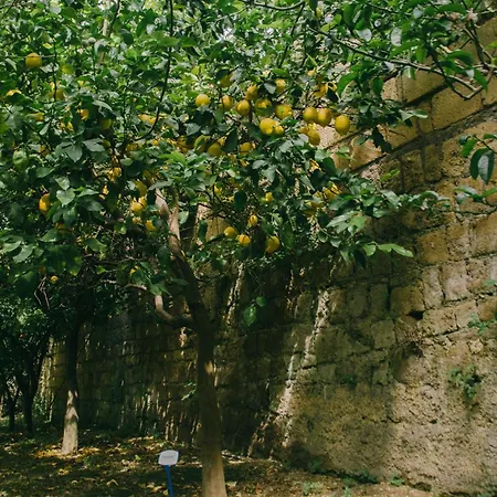 Il Cantico בית הארחה