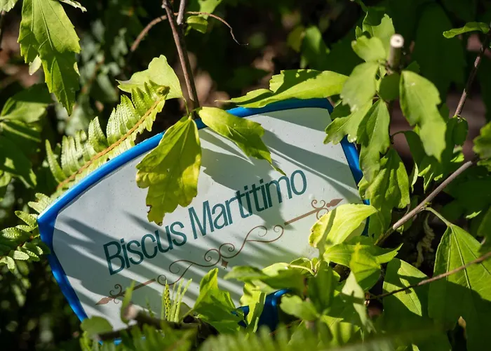 Il Cantico Guest house Naples